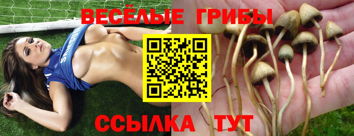 Партизанск  Галлюциногенные грибы мухоморы  Вход с VPN  Псилоцибиновые грибы Psilocybine cubensis 